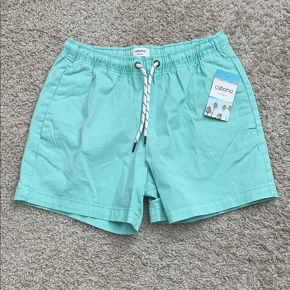 Crown & Ivy Mint Green Swim Trunks